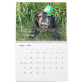 Bumblesnot 2014-agenda kalender (Mar 2027)