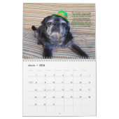 Bumblesnot-agenda 2015 kalender (Mar 2026)