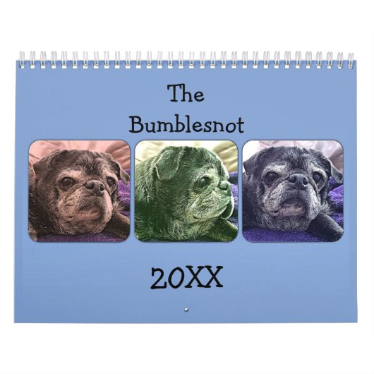Bumblesnot-agenda 2015 kalender (Hoes)