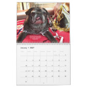 Bumblesnot-agenda 2015 kalender (Jan 2027)