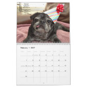 Bumblesnot-agenda 2015 kalender (Feb 2027)