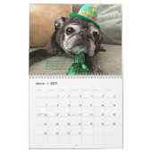 Bumblesnot-agenda 2016 kalender (Mar 2027)