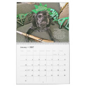 Bumblesnot-agenda 2016 kalender (Jan 2027)