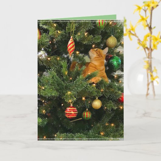 Bumblesnot: Christmas Kaart "Het Oranje Kat" (Gele Bloem)