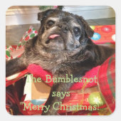 Bumblesnot-Kerst stickers (Voorkant)