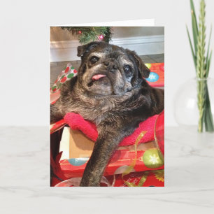 Bumblesnot kerstkaart feestdagen kaart