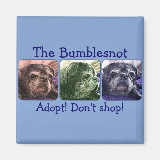 Bumblesnot magneet: Color Me Bumble Magneet (Voorkant)