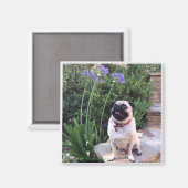 Bumblesnot magneet: Het Kind buiten Magneet (Voorkant / Achterkant)