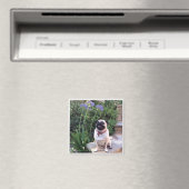 Bumblesnot magneet: Het Kind buiten Magneet (Insitu (Vaatwasser))