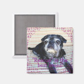 Bumblesnot magneet: "Rescue" is het beste ras! Magneet (Voorkant / Achterkant)