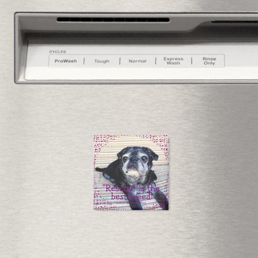 Bumblesnot magneet: "Rescue" is het beste ras! Magneet (Insitu (Vaatwasser))