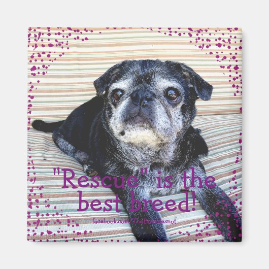 Bumblesnot magneet: "Rescue" is het beste ras! Magneet (Voorkant)