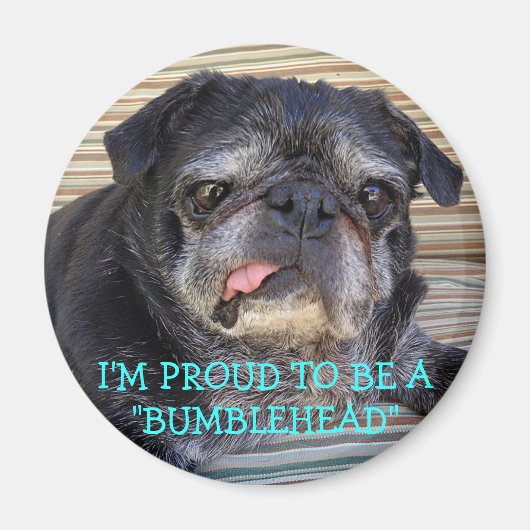 Bumblesnot magneet: Trots om Bumblehead te zijn Magneet (Voorkant)