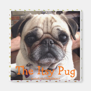 Bumblesnot magnet: De Itsy Pug Magneet