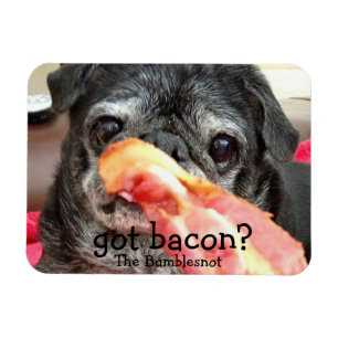 Bumblesnot Magnet: Heb je bacon? Magneet