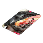 BumblesNot Magnet: heb je spek? Magneet (Linkerzijde)