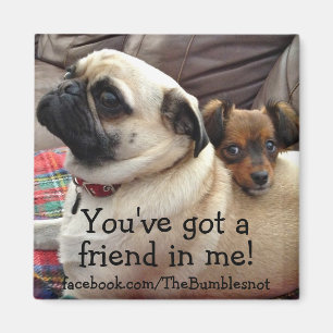 Bumblesnot magnet: Je hebt een vriend in me. Magneet