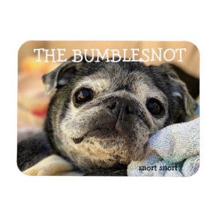 Bumblesnot magnet: snorven magneet