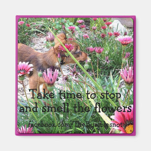 Bumblesnot magnet: Wee One/Smell de bloemen Magneet