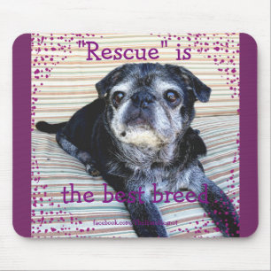 Bumblesnot Mousepad: Redding is de beste pauze Muismat