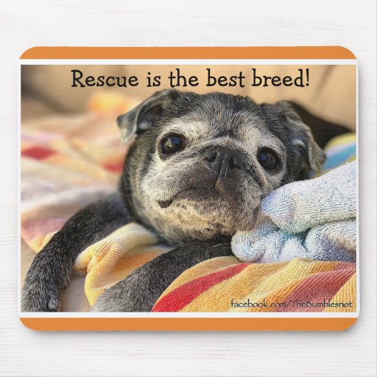 Bumblesnot mousepad: Redding is het beste ras! Muismat (Voorkant)