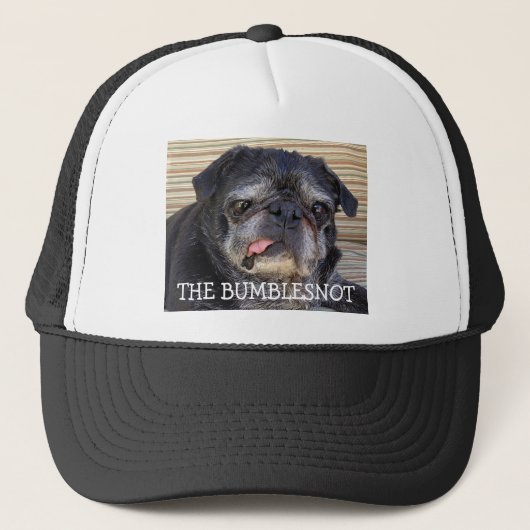 Bumblesnot pet: De Bumblesnot Trucker Pet (Voorkant)