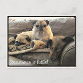 Bumblesnot: Resistentie is briefkaart van Futile (Voorkant)