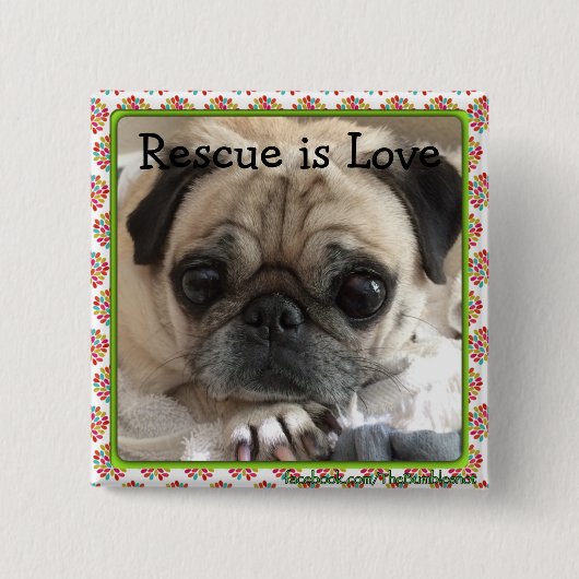 Bumblesnot-toets: Itsy Pug/Rescue is Love Vierkante Button 5,1 Cm (Voorkant)