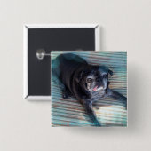Bumblesnot-toets: Pug in blauw Vierkante Button 5,1 Cm (Voorkant /achterkant)