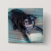 Bumblesnot-toets: Pug in blauw Vierkante Button 5,1 Cm (Voorkant)