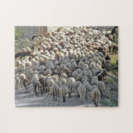 "Bummer" lastige schapenbodems puzzel