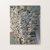 "Bummer" lastige schapenbodems puzzel Legpuzzel (Verticaal)