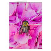 Bummerd bier op hydrangea (Voorkant)