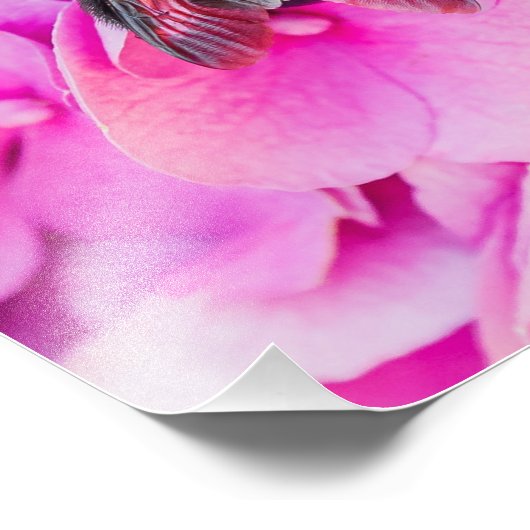 Bummerd bier op hydrangea foto afdruk (Hoek)