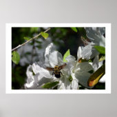 Bummerende bijen poster (Voorkant)