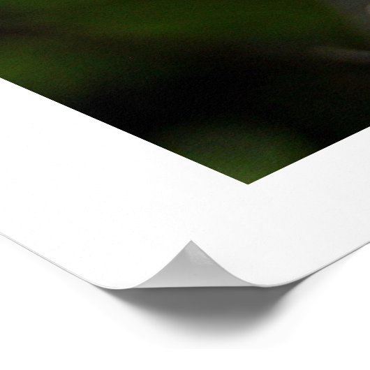 Bummerende bijen poster (Hoek)