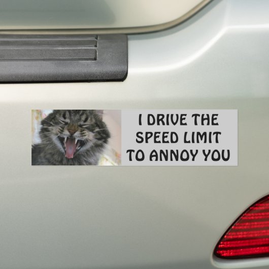 Bumper Cat Annoys Speeders Meme Bumpersticker (Op auto)
