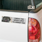 Bumper Cat Annoys Speeders Meme Bumpersticker (Op Truck)