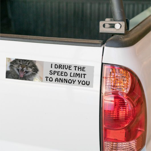 Bumper Cat Annoys Speeders Meme Bumpersticker (Op Truck)