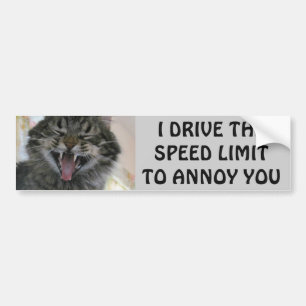 Bumper Cat Annoys Speeders Meme Bumpersticker
