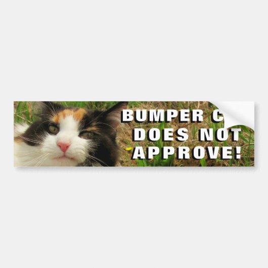 Bumper Cat keurt thema niet goed Bumpersticker (Voorkant)