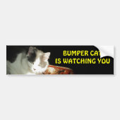 Bumper Cat kijkt naar 2 Bumpersticker (Voorkant)