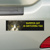 Bumper Cat kijkt naar je 3 Bumpersticker (Op auto)