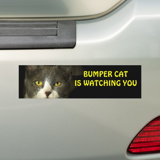 Bumper Cat kijkt naar je 3 Bumpersticker (Op auto)