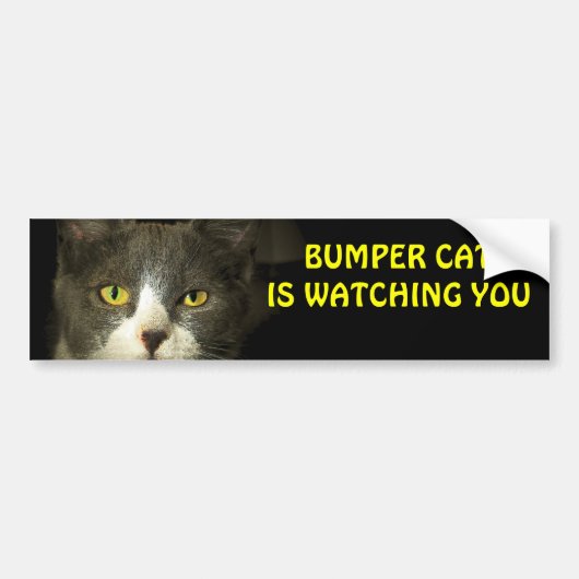 Bumper Cat kijkt naar je 3 Bumpersticker (Voorkant)