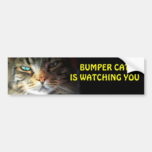 Bumper Cat kijkt naar je 4 Bumpersticker (Voorkant)