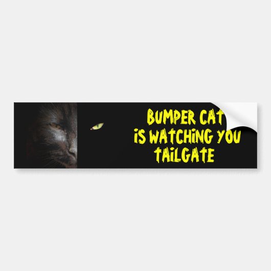 Bumper Cat kijkt naar je achterklep 37 Bumpersticker (Voorkant)