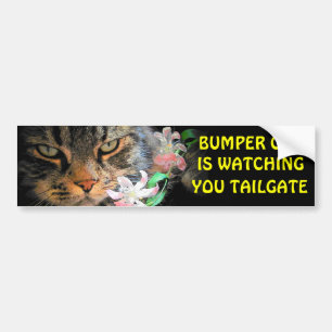 Bumper Cat kijkt naar je meme TAILGATE 3 Bumpersticker