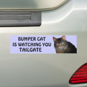 Bumper Cat kijkt naar je TAILGATE 10 Bumpersticker (Op auto)
