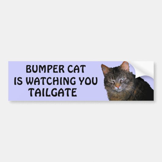 Bumper Cat kijkt naar je TAILGATE 10 Bumpersticker (Voorkant)